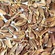 anise seed