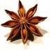 anise star